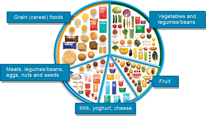 Australian Guide To Healthy Eating Chart